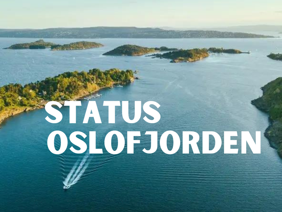 Næringsfrokost April / Status Oslofjorden